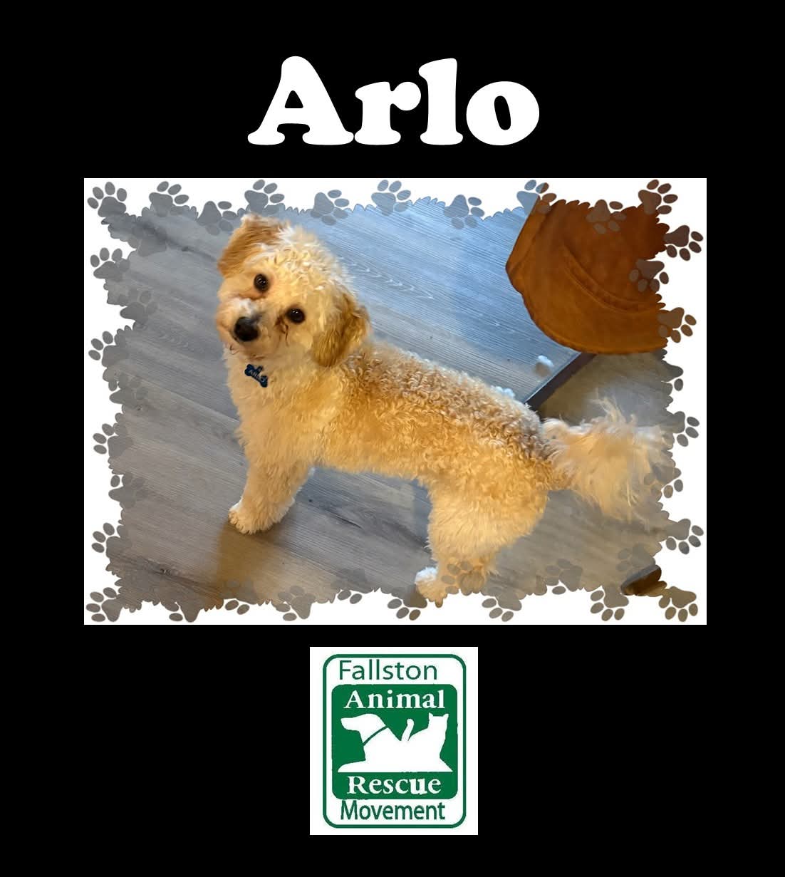 Arlo