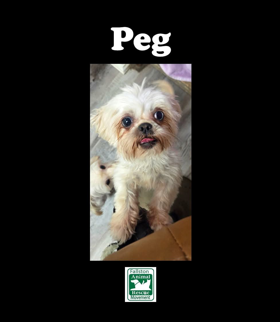 Peg