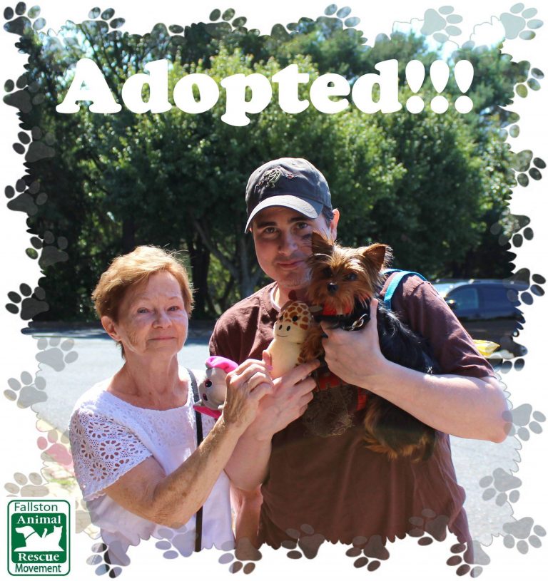 Another adopted pet