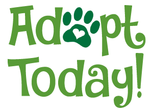 Adopt Today