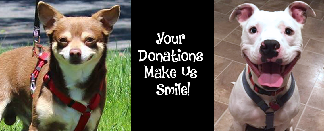 Donate to save lives